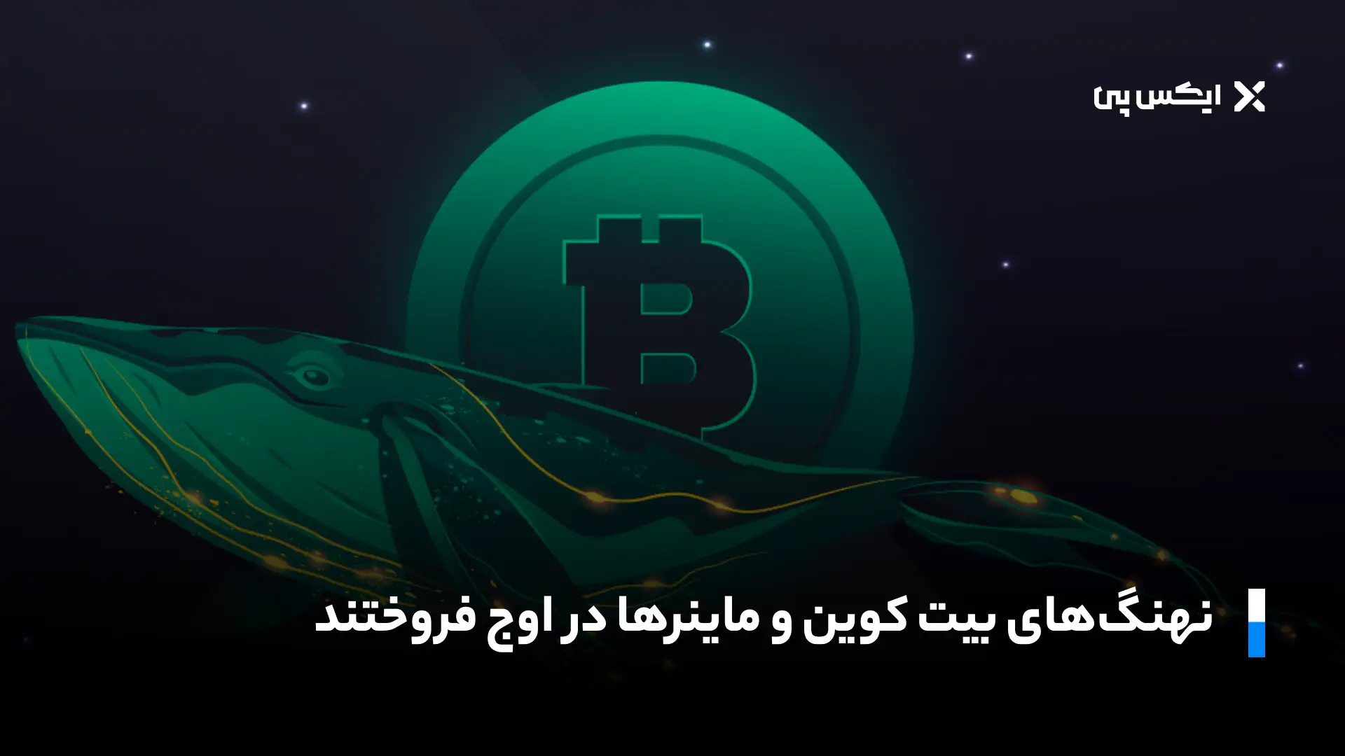 نهنگ‌های بیت کوین و ماینرها در اوج فروختند